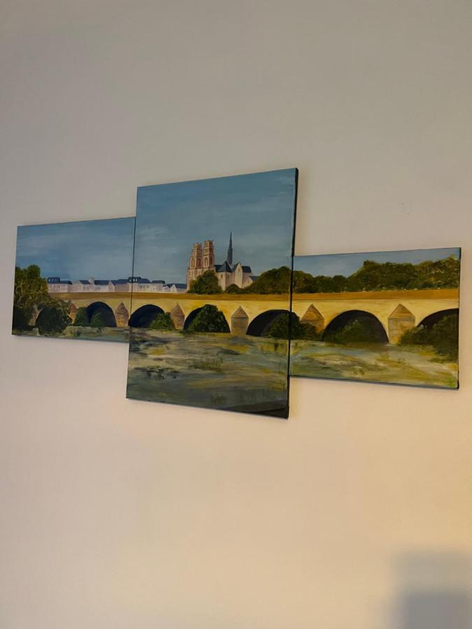 Cosy Loire, T2 Neuf, Front De Loire ,Vue Cathedrale,5Min A Pied Centre Ville Et Parking Prive Орлеан Экстерьер фото